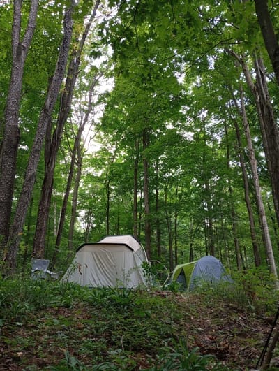 uneven, rocky ground at the campsite(1)
